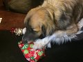 Kids_X-Mas_2016 (33)